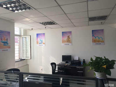 鼎金金服科技信息咨詢服務 數(shù)字化時代的專業(yè)財務導航